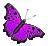 webicon